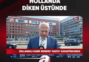 HOLLANDA DİKEN ÜSTÜNDE