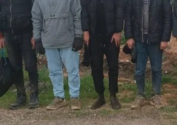 Edirne'de 19 düzensiz göçmen yakalandı