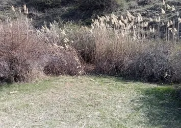 Ankara’da kesik baş vahşeti! 45 gün sonra bulundu | Ekipler inceleme başlattı