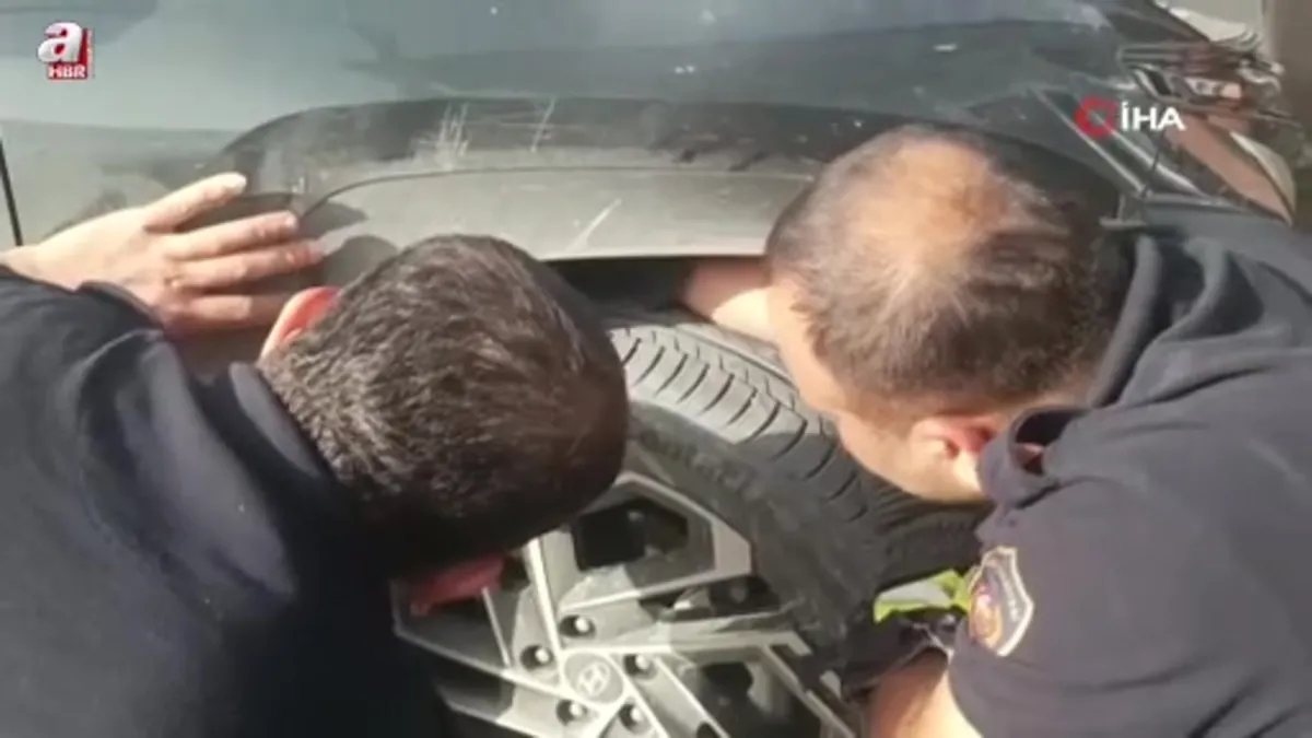 Aracın motoruna giren yavru kedi telefondan miyavlama sesi açılarak çıkartıldı