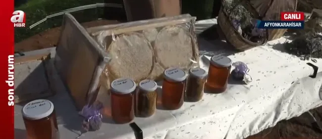 Türkiye Yüzyılı’nda tarım, ormancılık ve hayvancılık! A Haber ekipleri sahada