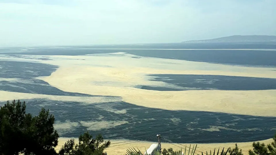 Son dakika | Marmara Denizi'nde alarm! Maviliği baştan sona sardı! Uydu görüntüsü ortaya çıktı