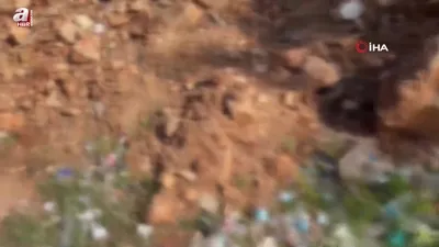 Çevreyi kirleten firmalara ceza yağdı