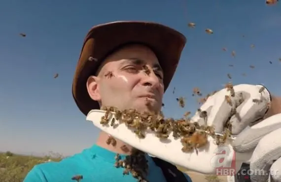 Yüzünü bilerek binlerce arıya sokturdu! Bakın sonunda ne oldu?