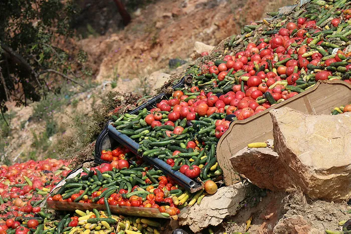 1654641734939.jpg Antalya'da çöpe dökülen sebzelerle ilgili Ticaret Bakanı Mehmet Muş'tan açıklama: En ağır yaptırım uygulanacak - 3