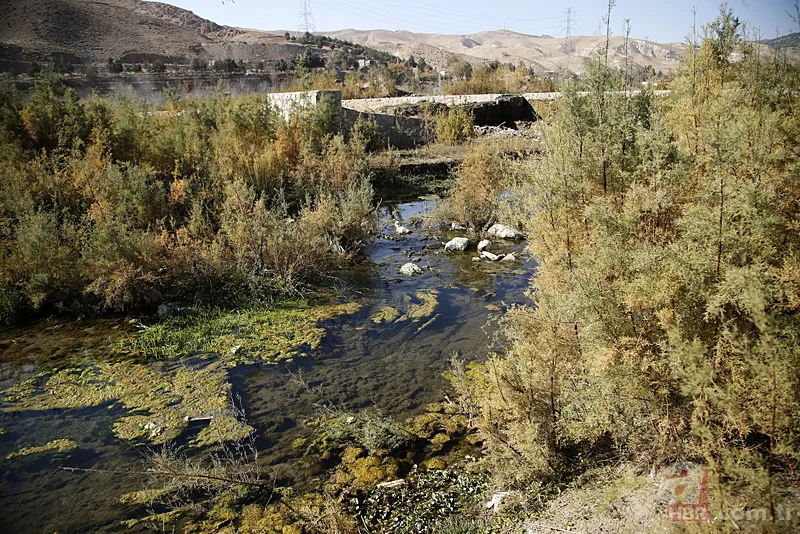 İran'ın tehdit eden felaket! Cumhurbaşkanı Pezeşkiyan: Tahran'ı tahliye etmek zorunda kalabiliriz 3