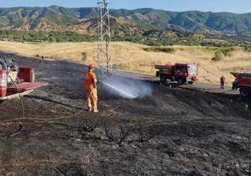 Bingöl'de çıkan örtü yangını söndürüldü