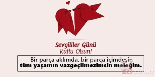 Kadın ve erkeğe Sevgililer günü mesajları! 14 ŞUBAT MESAJLARI RESİMLİ 💕 Kısa, uzun, romantik, komik, şakalı sözler! 16