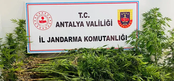 18 yıl önce vefat etmişlerdi! Kullanılmayan evin bahçesinden çıkanlar şoke etti