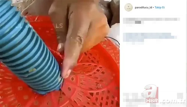 Öyle bir şey tuttu ki... Tam 27 kilo! Bakın ne yaptı? 21