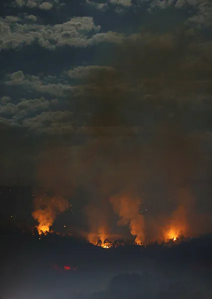 Bakan Bekir Pakdemirli’den Ankara Nallıhan’daki yangınla ilgili açıklama
