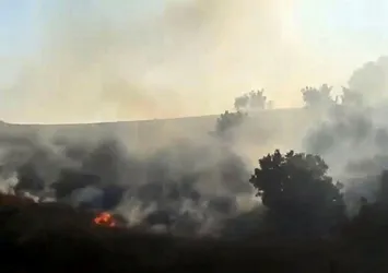 Gece boyunca devam etti! Diyarbakır’da orman yangını