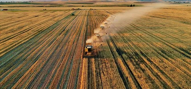 Son dakika: Tarım ve Orman Bakanı Bekir Pakdemirli’den üretici ve yetiştiriciye müjde