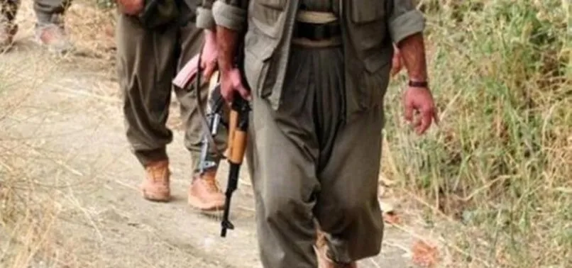 Teslim olan teröristten çarpıcı itiraf: HDP bana parola verdi