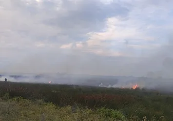 Samsun'da çıkan yangında 100 dekar tarım arazisi zarar gördü