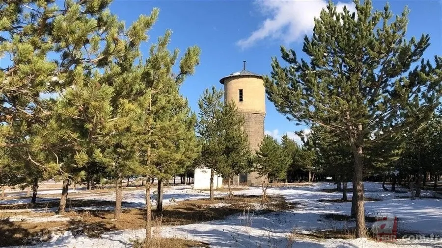 Bozkırın ortasında yemyeşil doğa! Hayran bırakan görüntüler 1