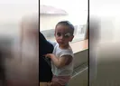 Minik Asaf, köpeklerin saldırısında öldü