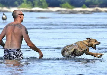 Tam zamanında çekilen fotoğraflar