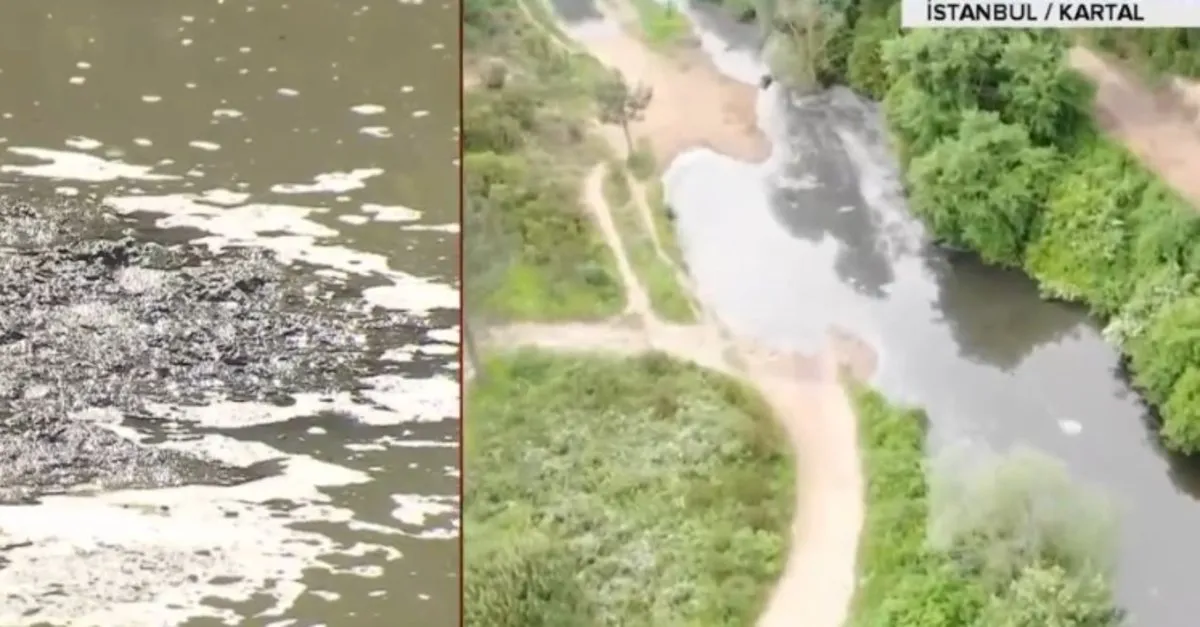 Kartal'da rezalet! İşte Aydos Ormanı'ndaki gölün içler acısı hali | Video