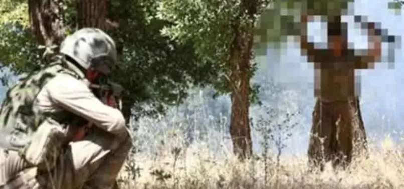Son dakika: PKK'da çözülme sürüyor: 3 terörist teslim oldu