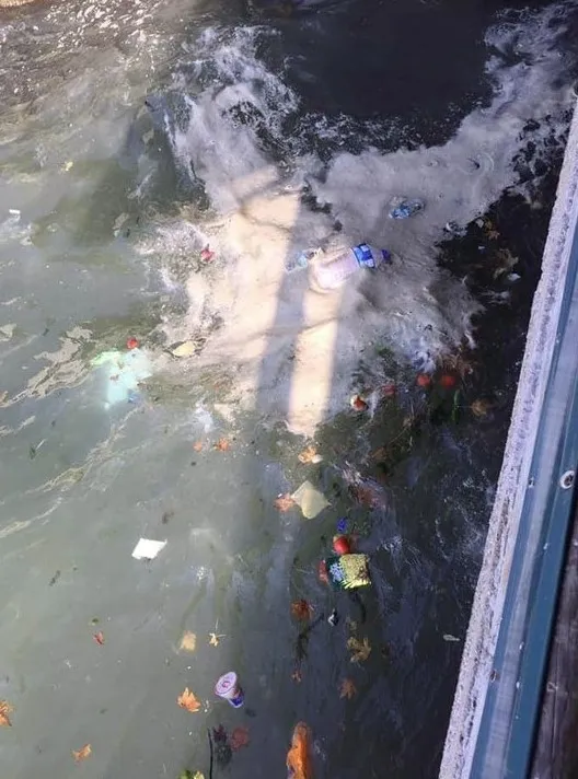 Fethiye'de deniz çöplüğe döndü CHP’li belediye seyirci kaldı - 4