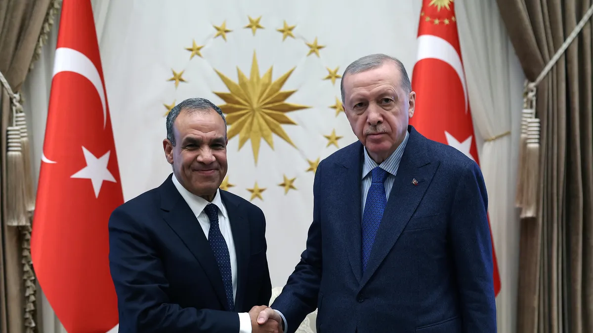 Başkan Erdoğan Mısır Dışişleri Bakanı Abdulati'yi kabul etti