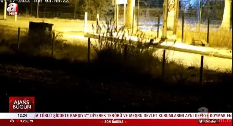 Mersin'deki polisevi saldırısında yeni görüntü! İşte bekçilerin teröristlere müdahale ettiği anlar 1