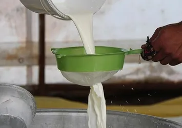 Litre başına 7,50 lira kazandıracak! Üreticiler dikkat! 1 Ekim itibarıyla başlıyor... Süt fiyatları değişecek