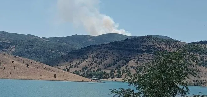 Tunceli’de orman yangını! Alevlere askeri destek...