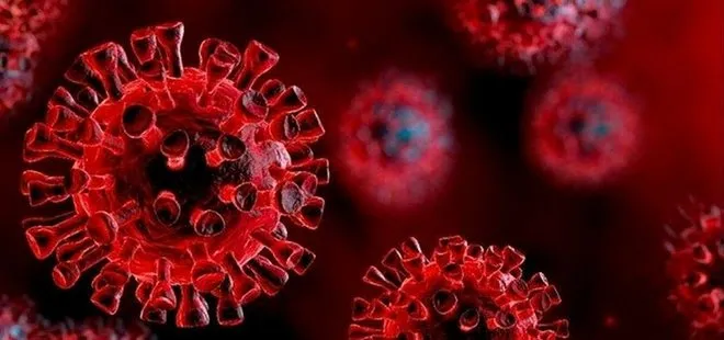 11 ülkede 169 gizemli vaka! Koronavirüs ile bağlantısı var mı? Gizemli hepatit belirtileri neler?