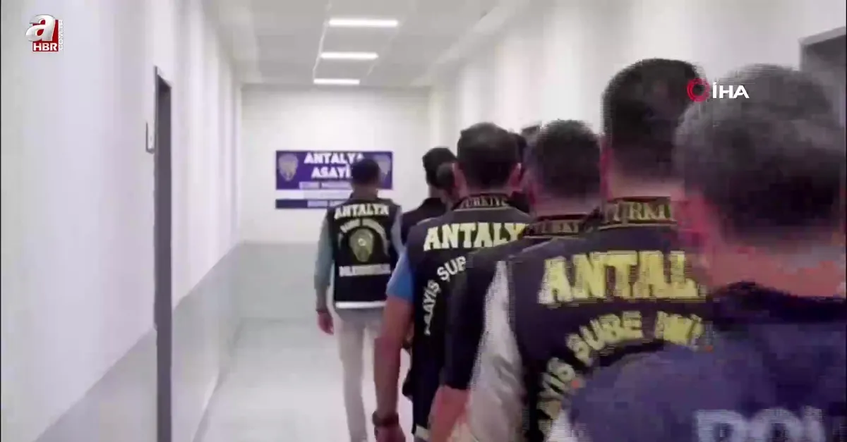 Dolandırıcılık şebekelerine operasyon! 206 tutuklama