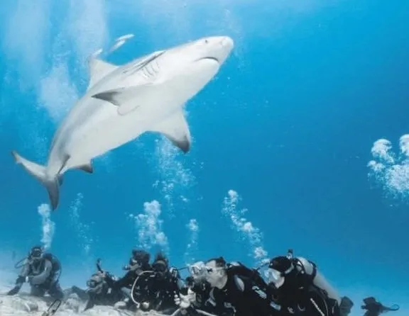 Eda Taşpınar adrenalin uğruna ölümle burun buruna geldi!