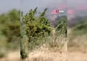 Aydın'da zirai alan yangını