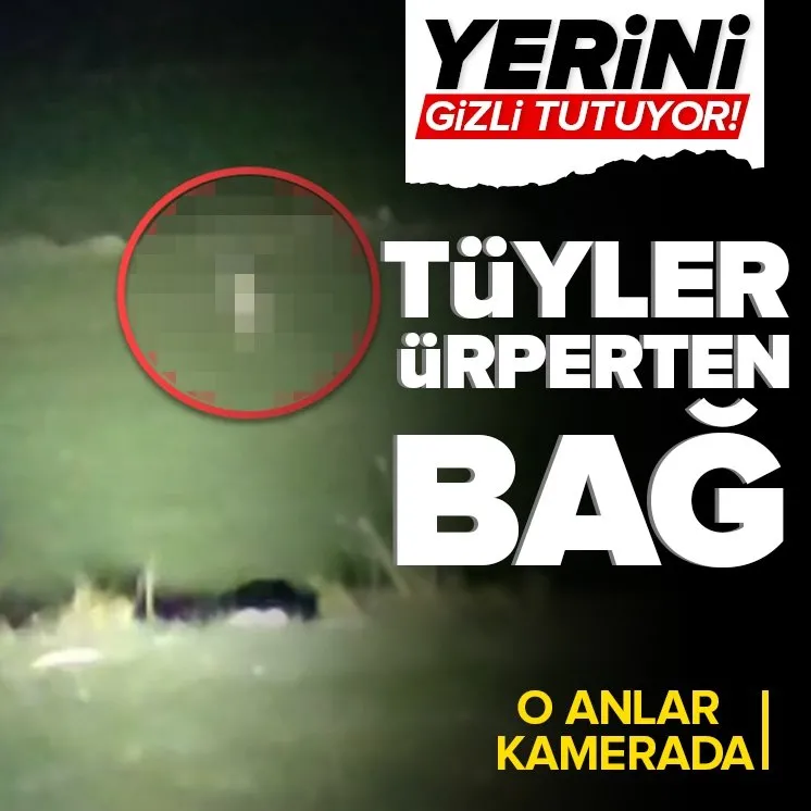 Yerini gizli tutuyor! Tüyler ürperten bağ