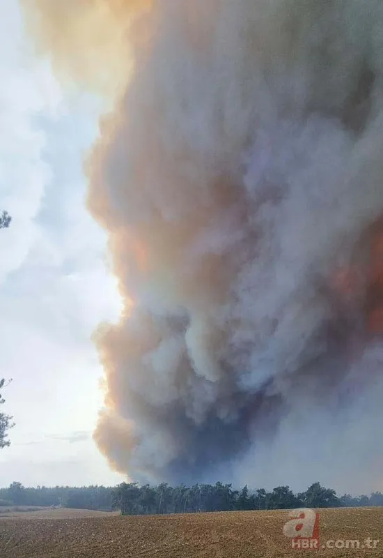 3 ilde orman yangını! Muğla ve İzmir kontrol altında! Çanakkale’deki yangına lodos etkisi! Vali uyardı: Teyakkuzda olun