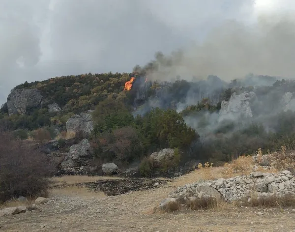 antalyada-makilik-alanda-yangin-sogutma-calismalari-suruyor-1635243413064.jpg Antalya'da makilik alanda yangın! Soğutma çalışmaları sürüyor - 2