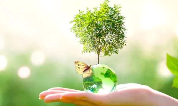 İngiltere’den Türkiye’deki çevreci projelere destek! Zirve Londra’da