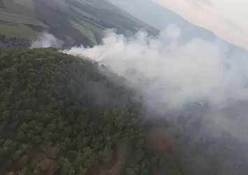 Muğla'nın Ortaca ilçesinde orman yangını
