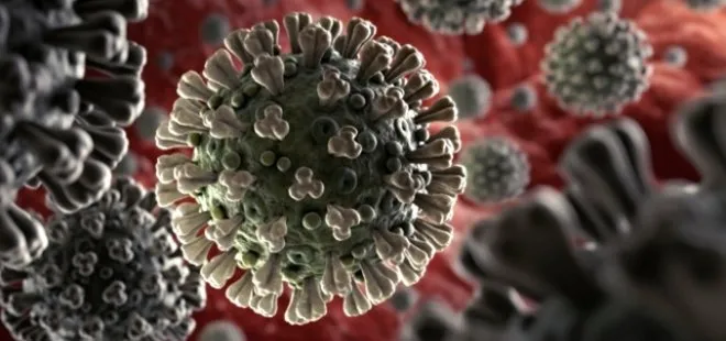 Son dakika: Dünya genelinde yeni tip koronavirüs vaka sayıları durdurulamıyor