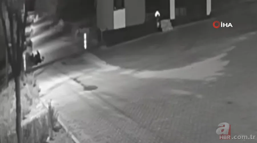 Kurt sürüsü sokak ortasında saldırıp paramparça etti! İşte korkunç anlar 17