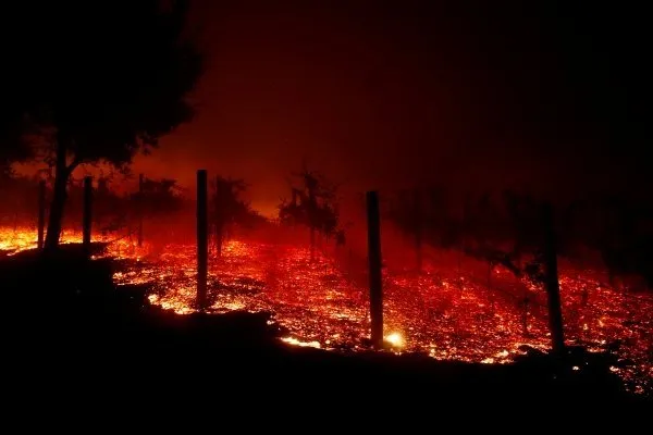 California’daki yangında 9 kişi daha öldü