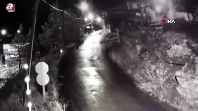 Yerleşim alanlarına inen ayılar kamerada