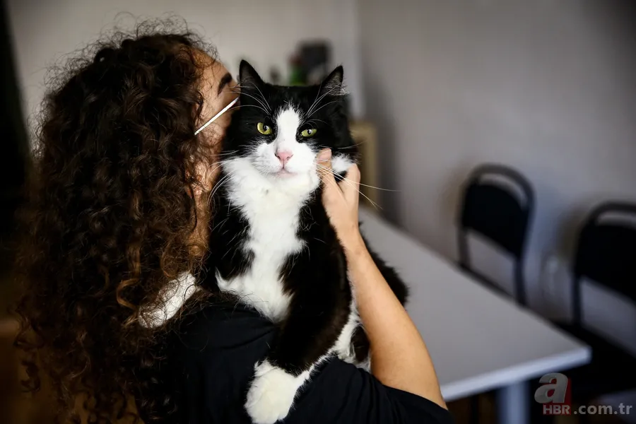 Köpek sahiplerinin büyük avantajı: Demans riski daha düşük 6