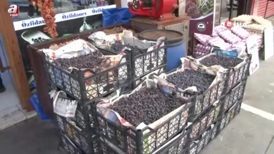 İki yılda bir meyve veren ağaç