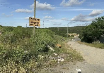 İsyan ettiler! Kurban Bayramı öncesi "kimyasal döküm" engeli