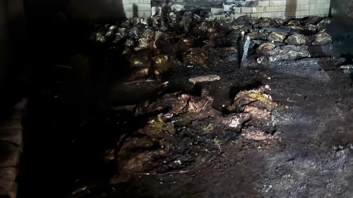 Niğde'de korkunç yangın: 170 koyun telef oldu