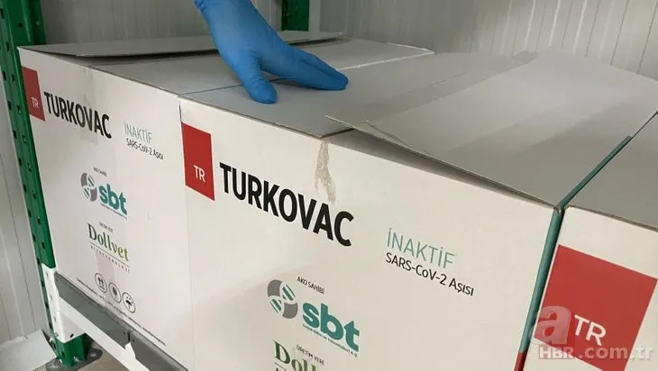 Yerli koronavirüs aşısı TURKOVAC’ta randevular açılıyor! İşte etkinlik oranı...