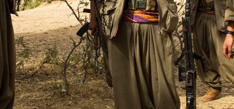 Mavi listede aranan terörist yakalandı