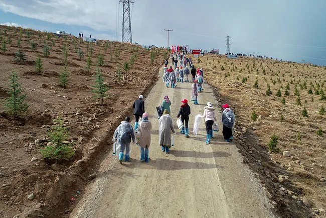 Birleşmiş Milletler Gıda ve Tarım Örgütü raporu belli oldu! Türkiye ağaçlandırmada Avrupa'da birinci oldu - 3
