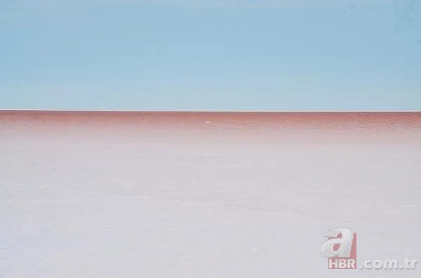 Tuz Gölü’nün rengi değişti! Nedeni merak konusu oldu